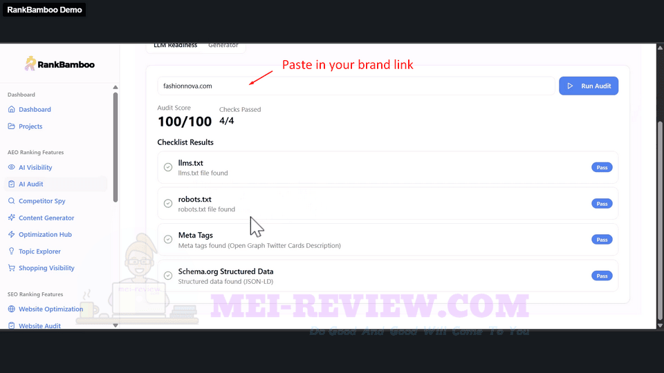 RankBamboo-Demo-9-AI-audit