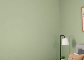 A bedroom featuring a sage green accent wall, light bedding, and a ceiling fan.