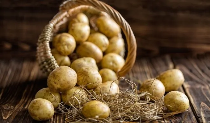 Potato Benefit