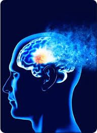 NeuroVera Review