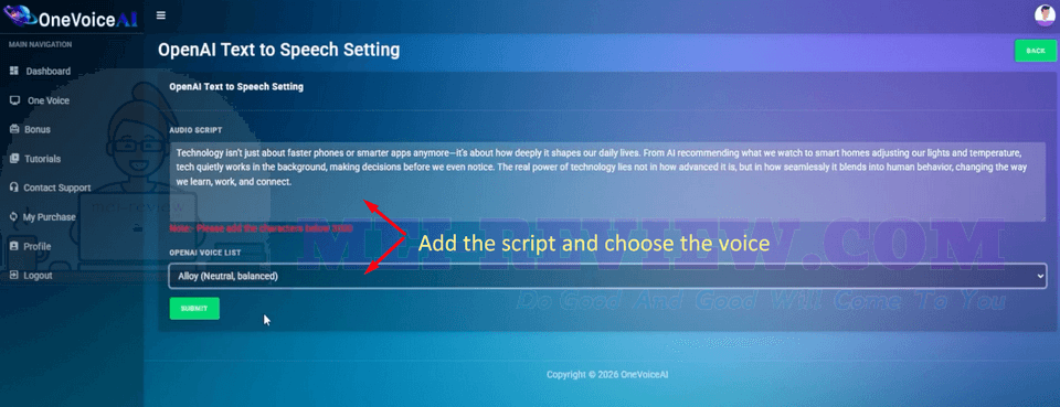 OneVoice-AI-Demo-3-script