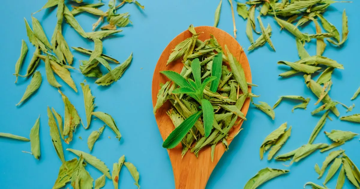 Stevia leaf