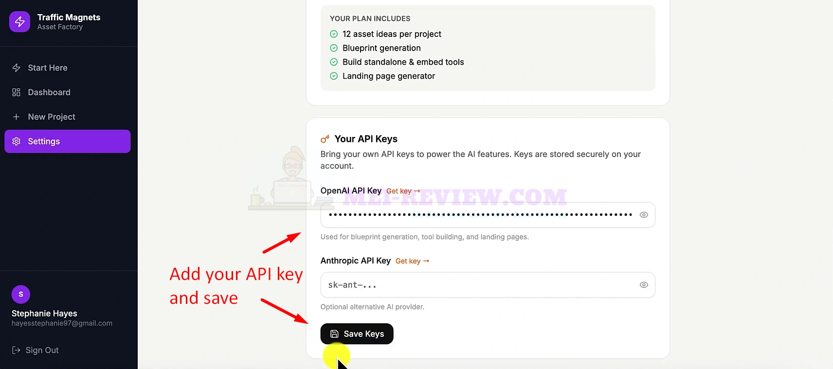 Traffic-Magnets-Demo-2-save-API-keys