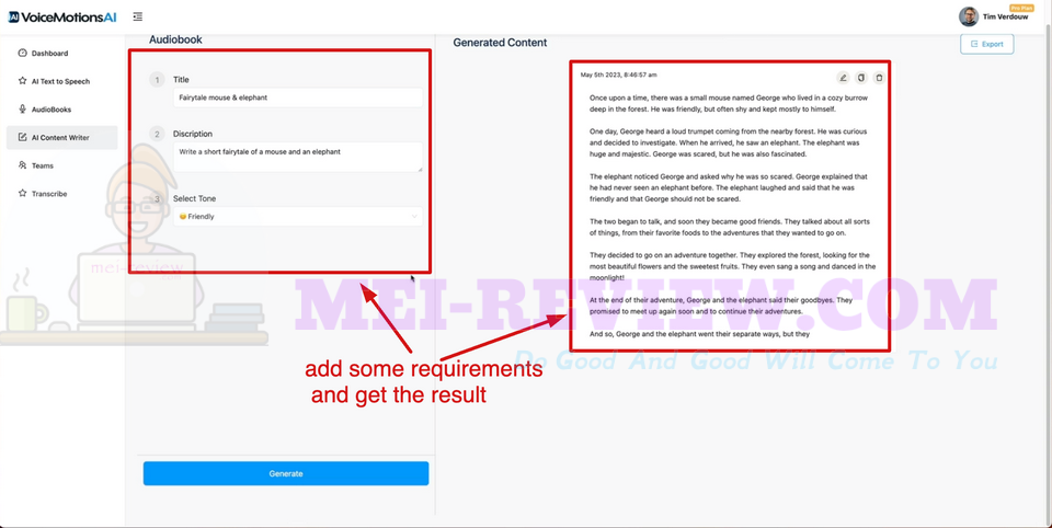 VoiceMotionsAI-Demo-10-Enter-Prompts