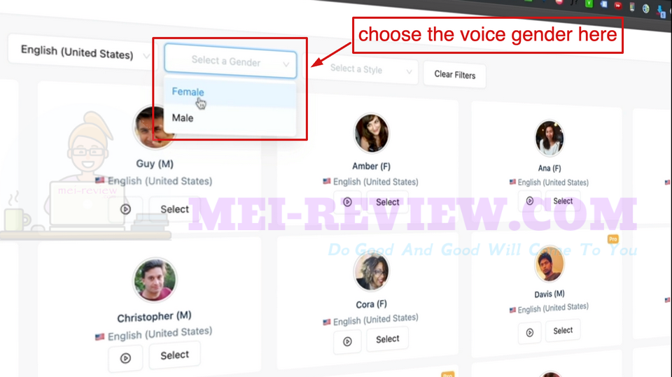VoiceMotionsAI-Demo-2-Choose-Voice-Gender