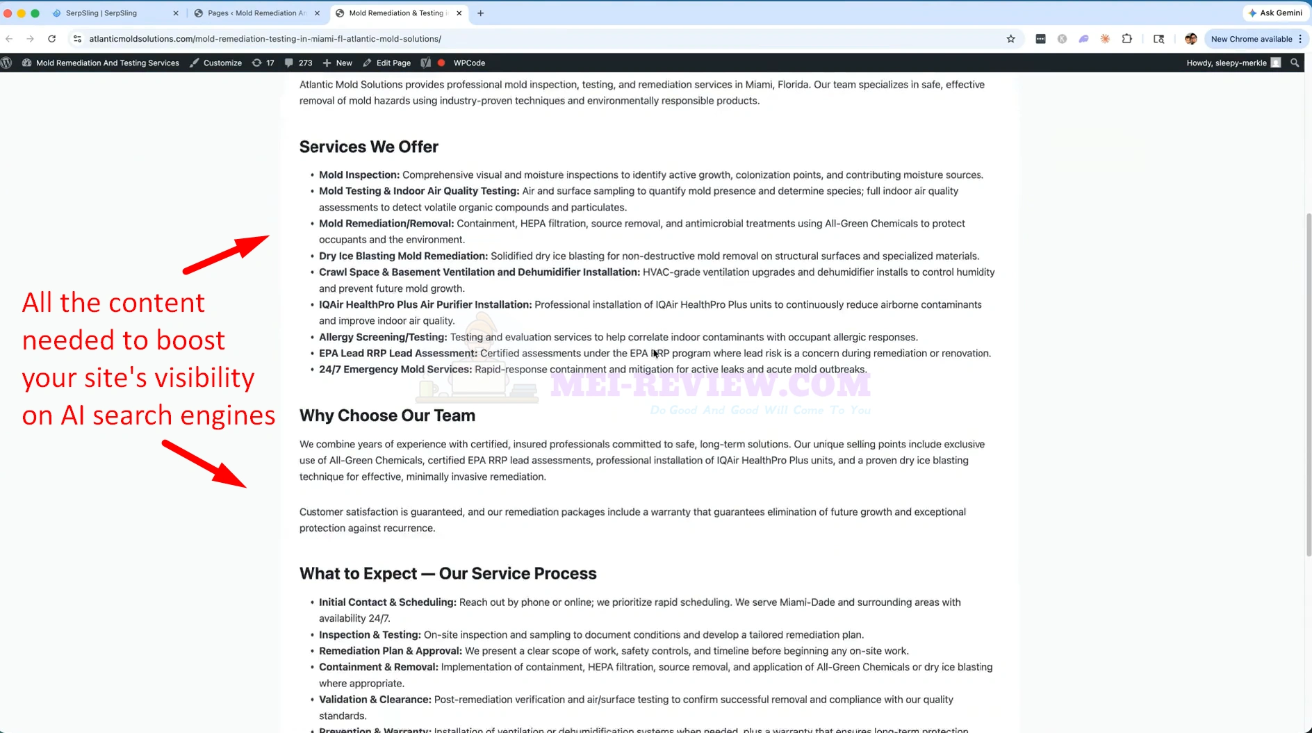 SerpSling-AI-Demo-17-site