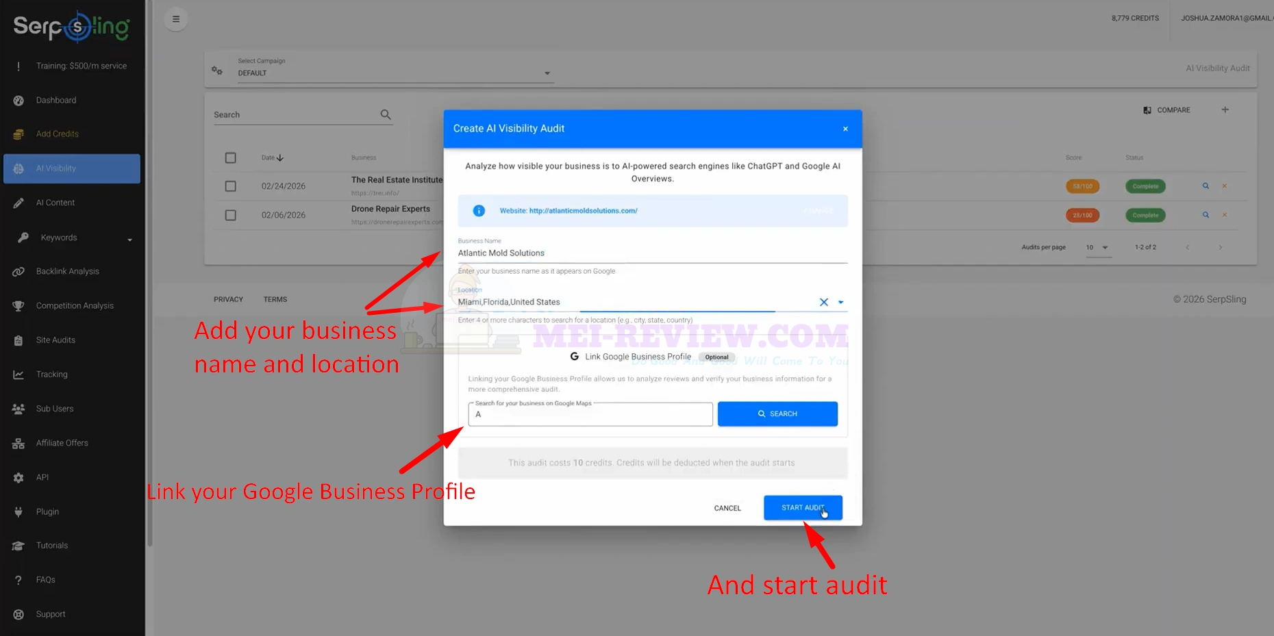 SerpSling-AI-Demo-2-business-information