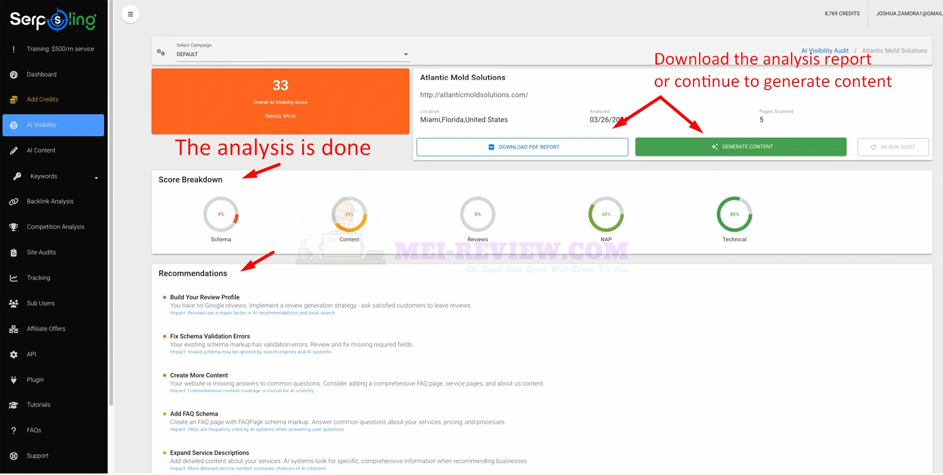 SerpSling-AI-Demo-4-view-audit