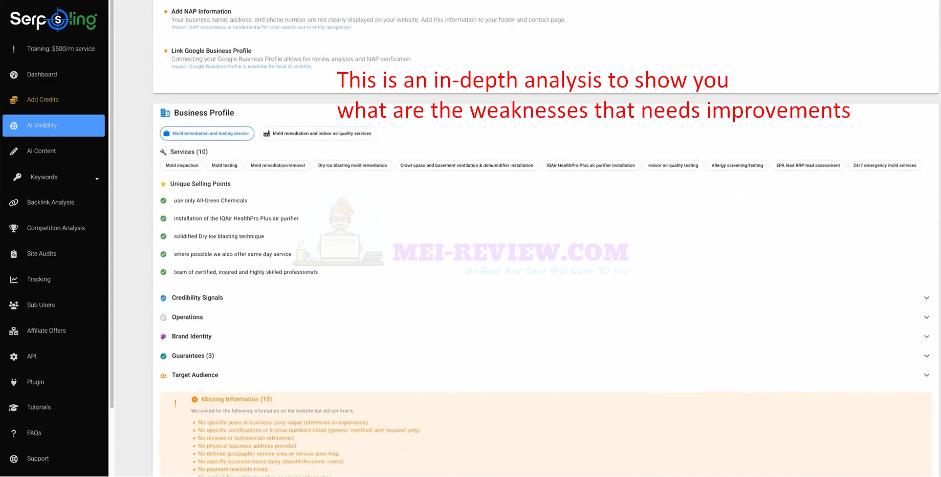 SerpSling-AI-Demo-5-analysis