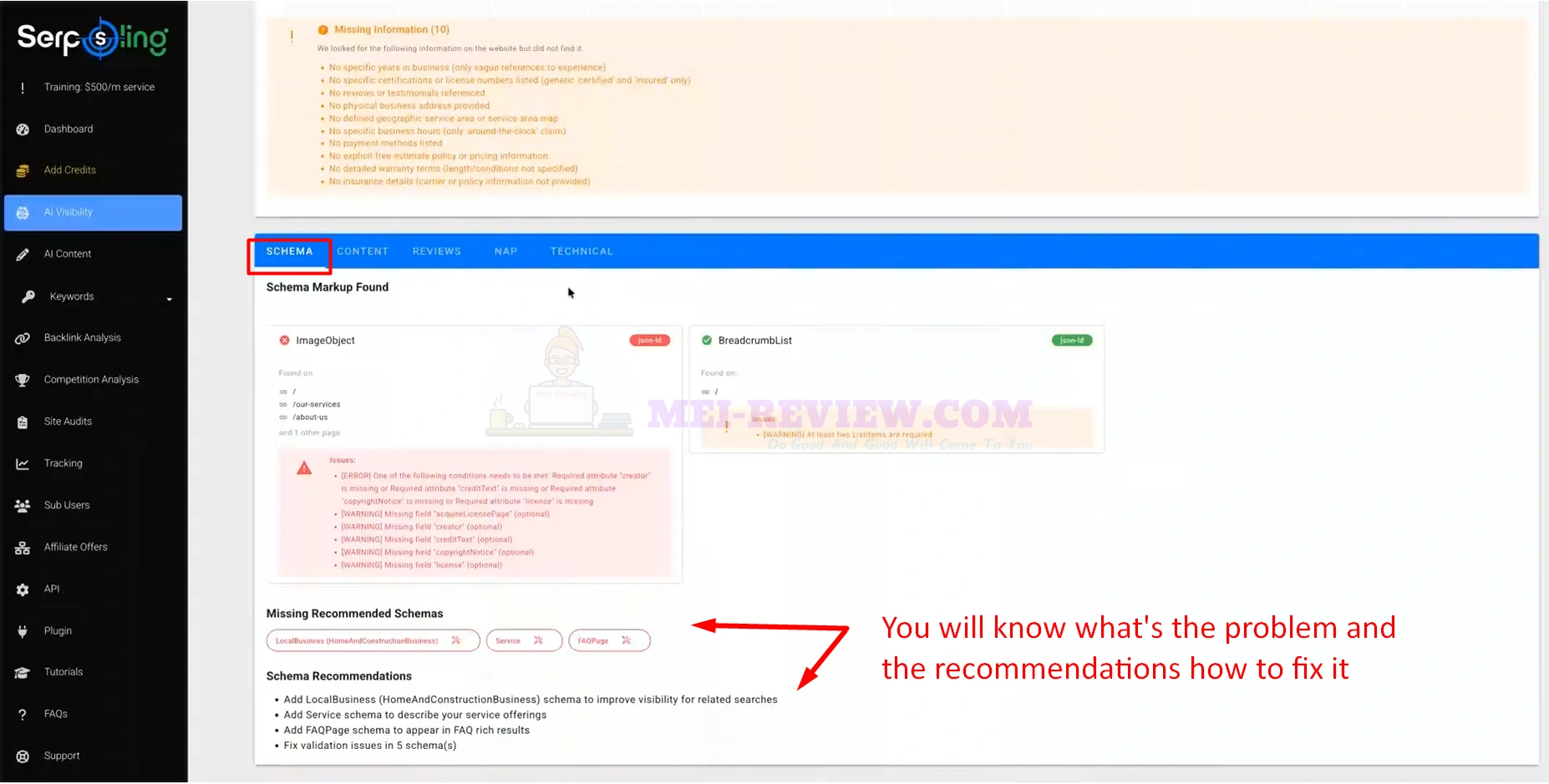 SerpSling-AI-Demo-6-detailed-analysis