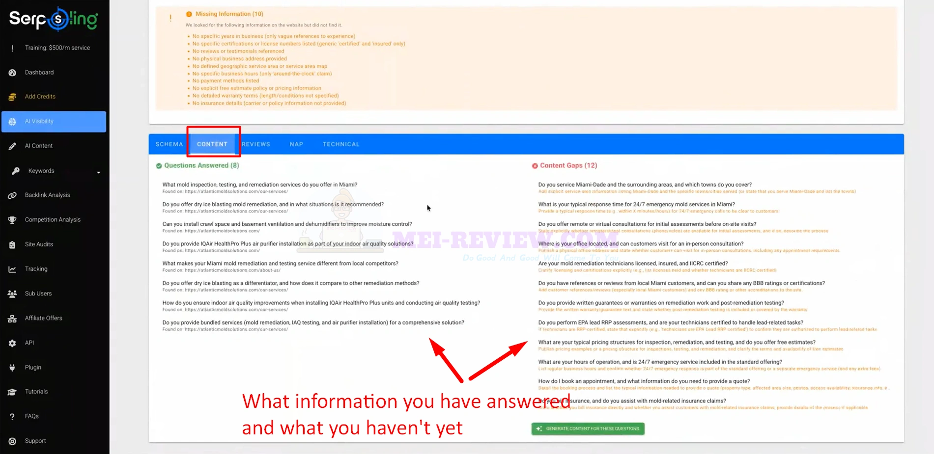 SerpSling-AI-Demo-7-content-analysis