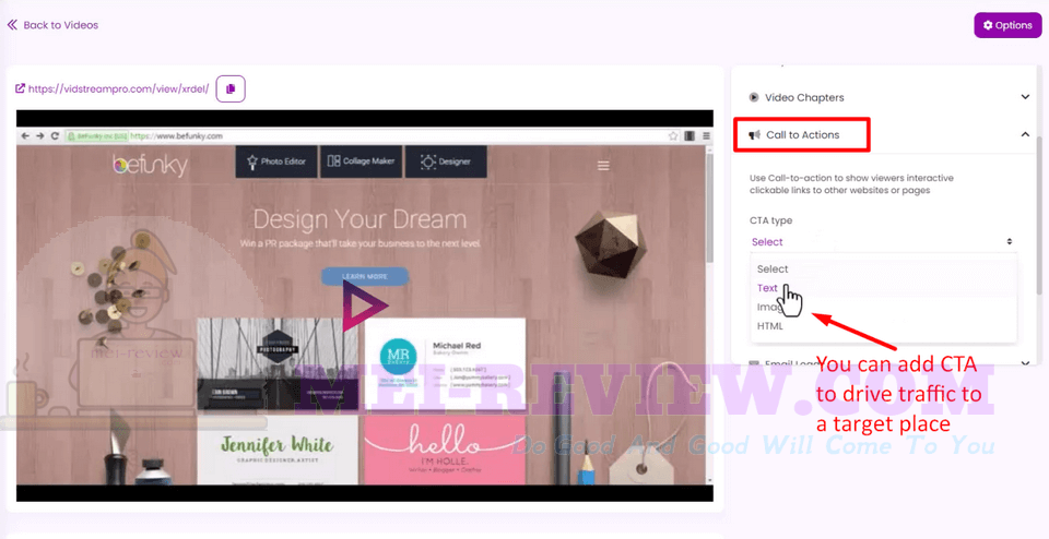 VidStream-Pro-demo-9-add-calltoactions