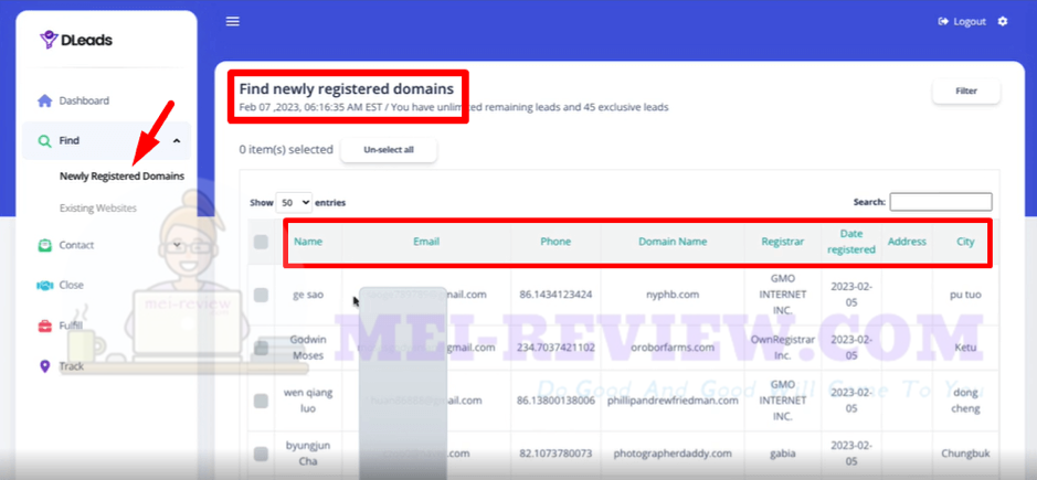 dLeads-Demo-3-Newly-Registered-Domain