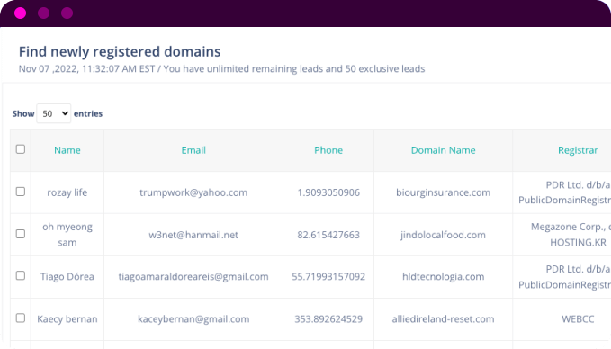 dLeads-Feature-2-Old-Domain-Leads