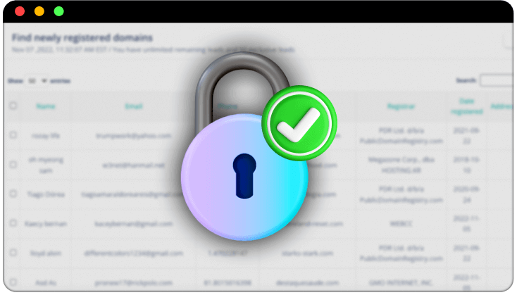 dLeads-Feature-20-Domain-Protection