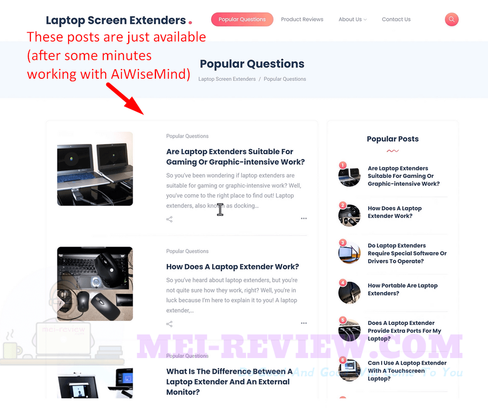 AiWiseMind-Demo-12-filled-with-content