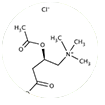N-Acetyl L-Carnitine