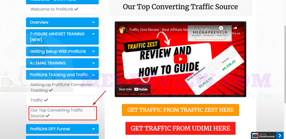 ProfitLink-Demo-11-traffic-source