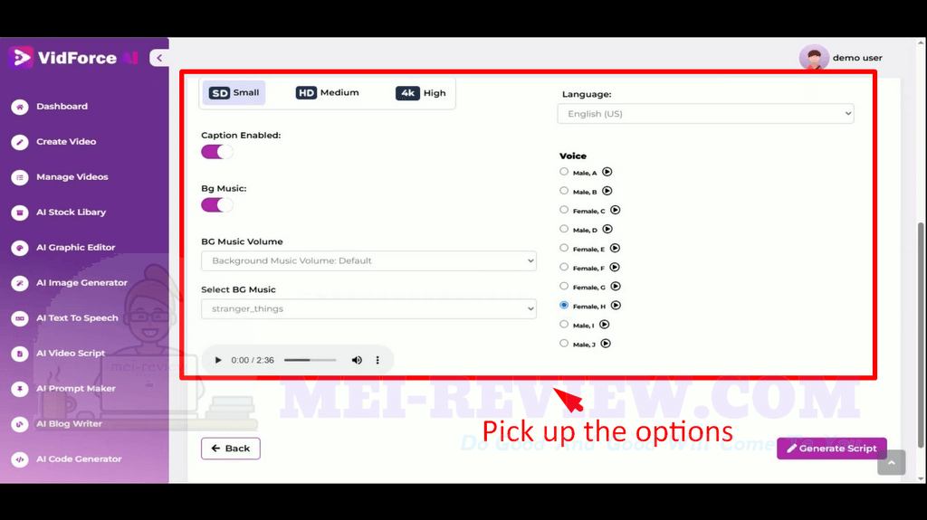 vidforce-ai-how-to-use-9-time