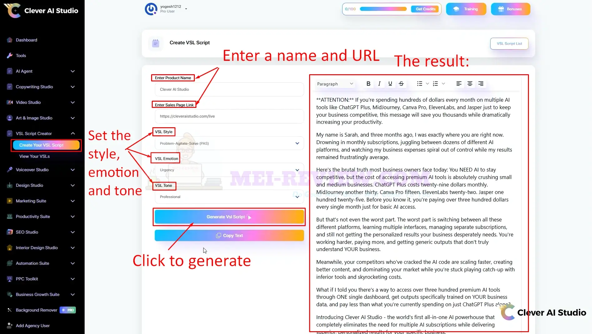 Clever-AI-Studio-Demo-13-URL
