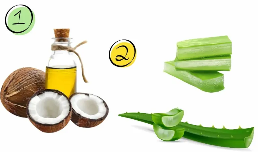 Grow Hair Faster Naturally coconut oil and alovera gel