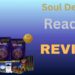 Soul Destiny Reading Review