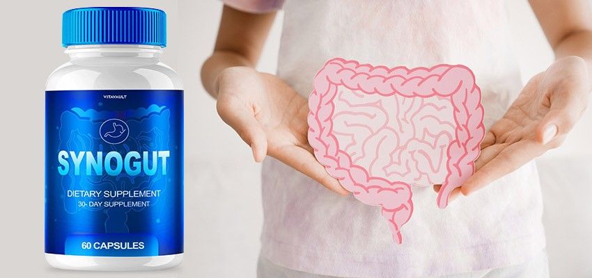 SynoGut Review
