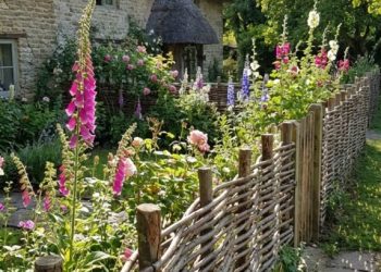 English cottage garden 202603231158