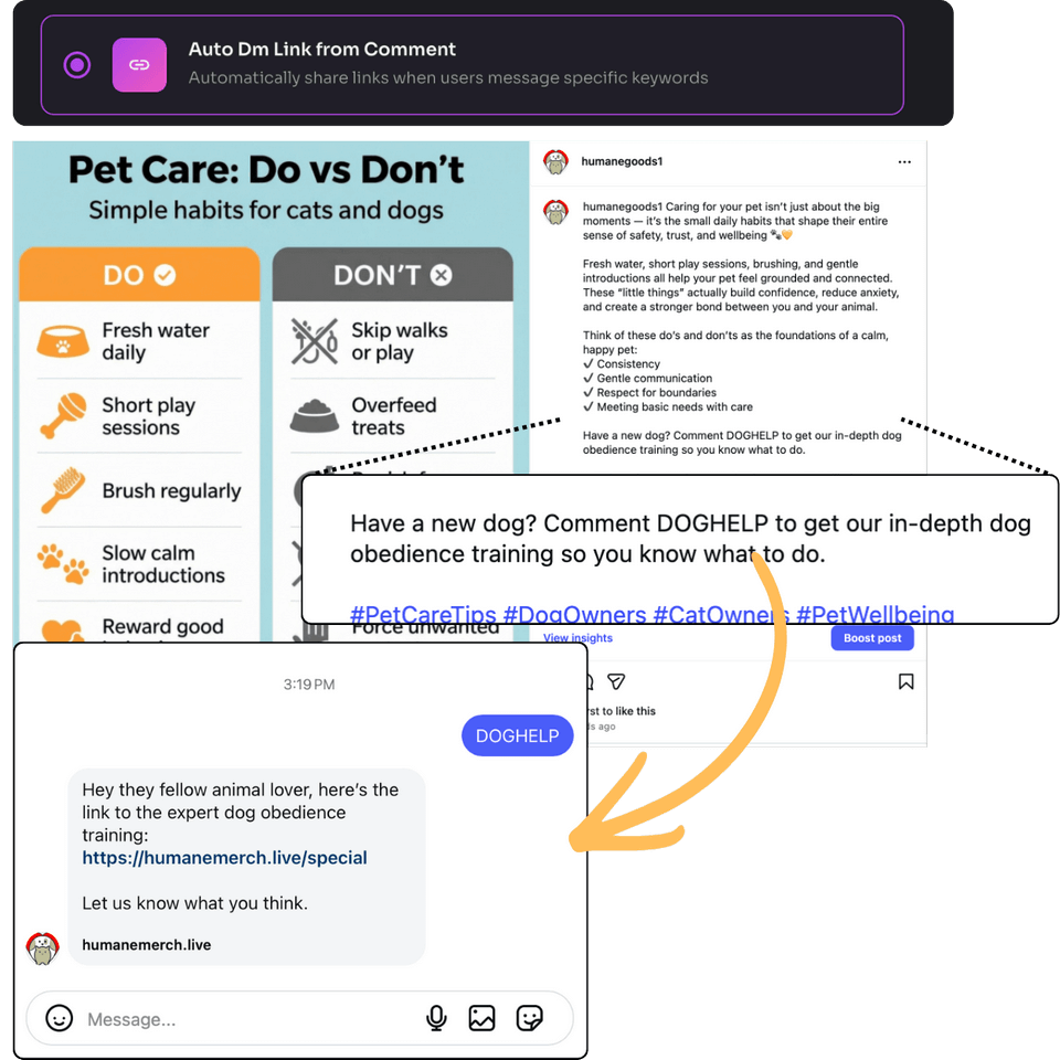 GramGenies-Feature-4-Links