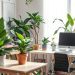 A bright home office with various plants, including hanging and potted greenery, creating a fresh and inviting workspace.