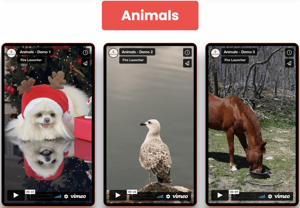 5000-vertical-3-Animal