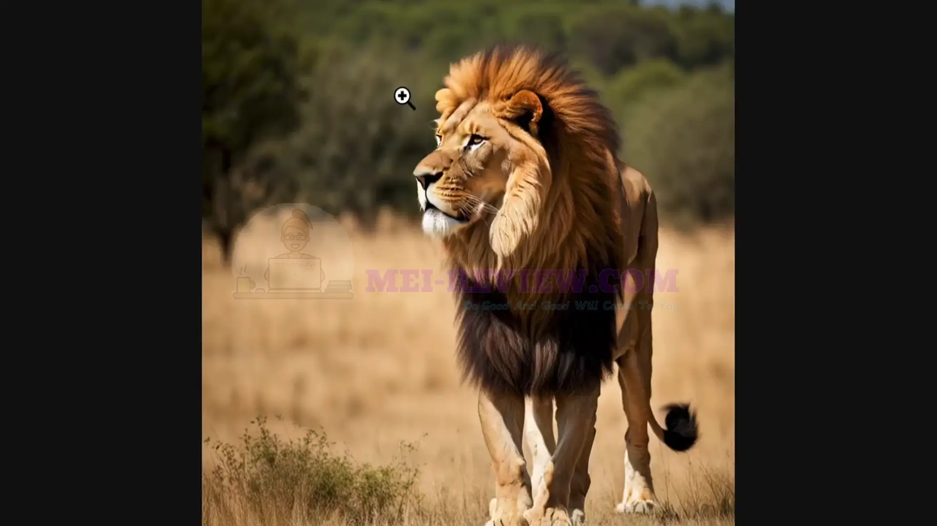 AI-Video-Clip-Sticher-Fx-Demo-9-result
