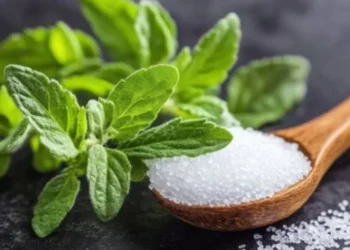 Best Sugar Substitutes for Diabetics