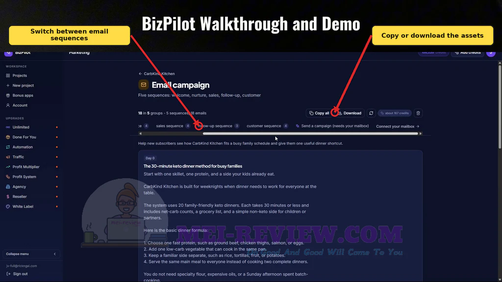 BizPilot-demo-12-Campaign