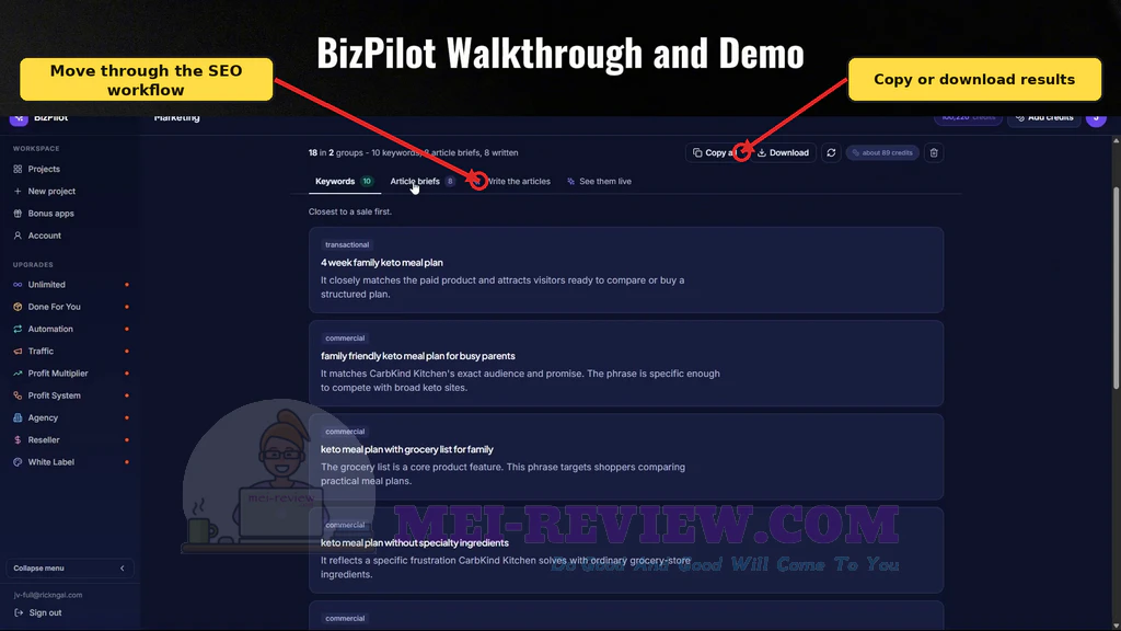 BizPilot-demo-14-SEO