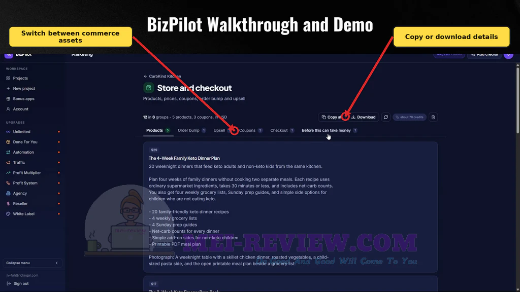 BizPilot-demo-17-Checkout