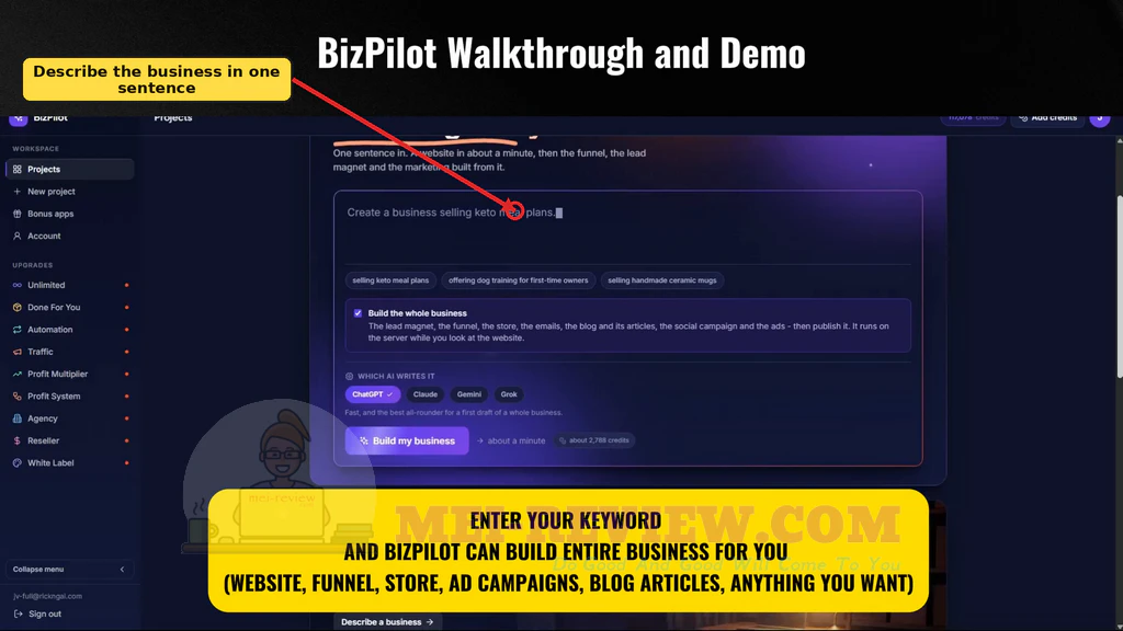 BizPilot-demo-2-Describe