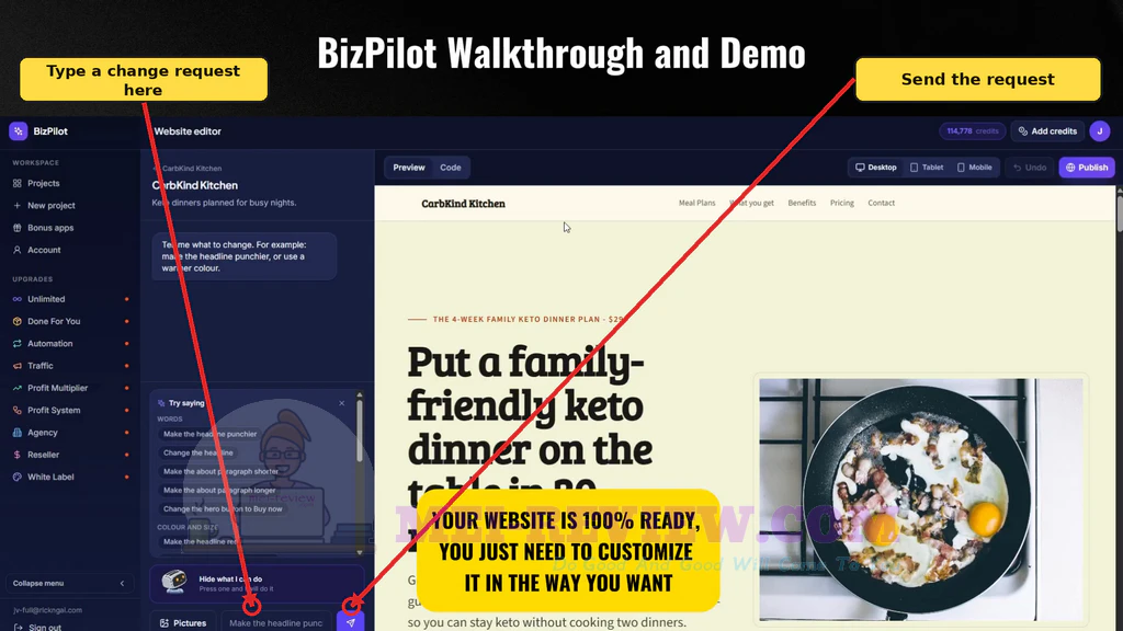 BizPilot-demo-5-Edit