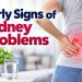 Early Signs of Kidney Problems