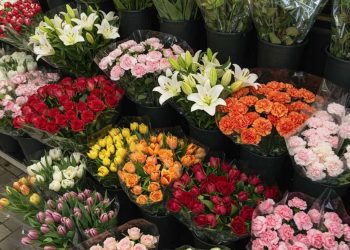 Grocery Store Flowers