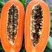 Is Papaya Good for Diabetes? Benefits, Risks, and More - BITUDI