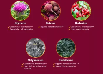 Hepatoburn Ingredients Behind the Formula
