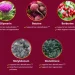 Hepatoburn Ingredients Behind the Formula