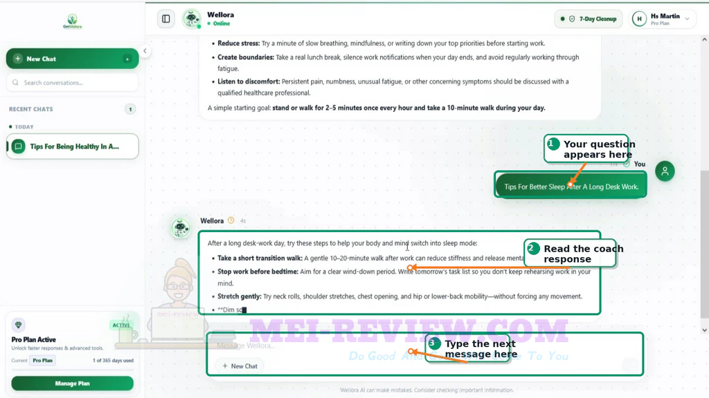 WellNest-AI-demo-23-Chat