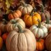 An assortment of pumpkins in various colors and sizes, surrounded by autumn leaves.