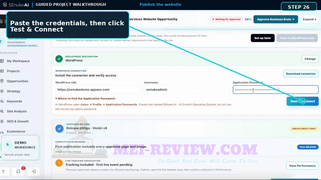 senuke-ai-demo-26-Test