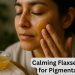 Natural Remedies to Fade Pigmentation