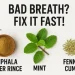Bad breath treatment at home