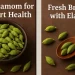 Cardamom benefits