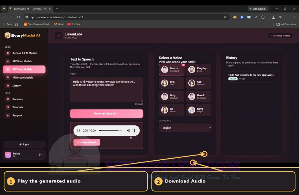 EveryModel-AI-Demo-17-audio